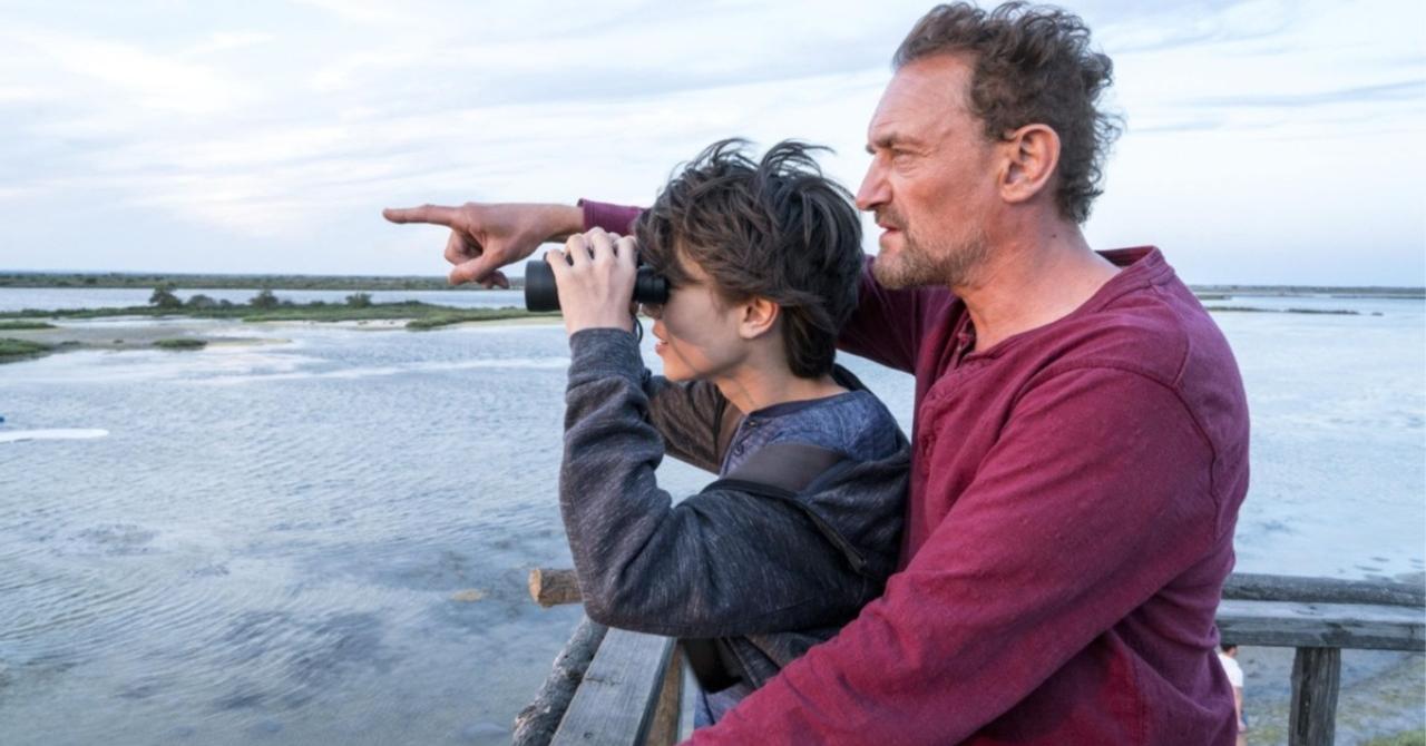 Give Me Wings: A Great Idea for a Family Vacation Adventure (review)