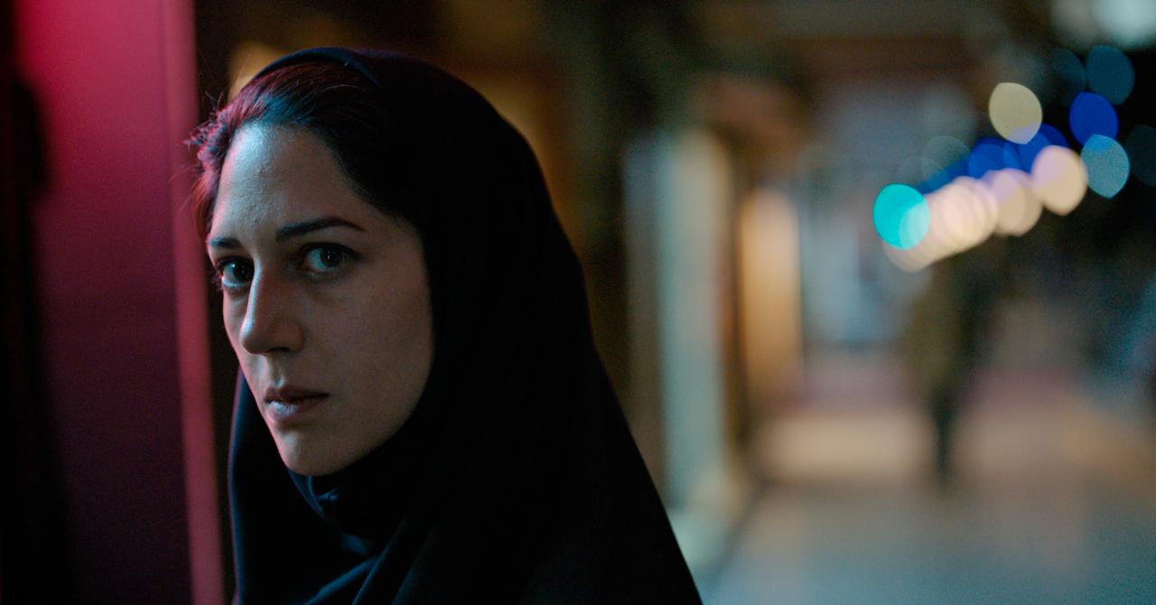 Who is Zar Amir Ebrahimi, the Cannes-award-winning Nights of Mashhad actress?