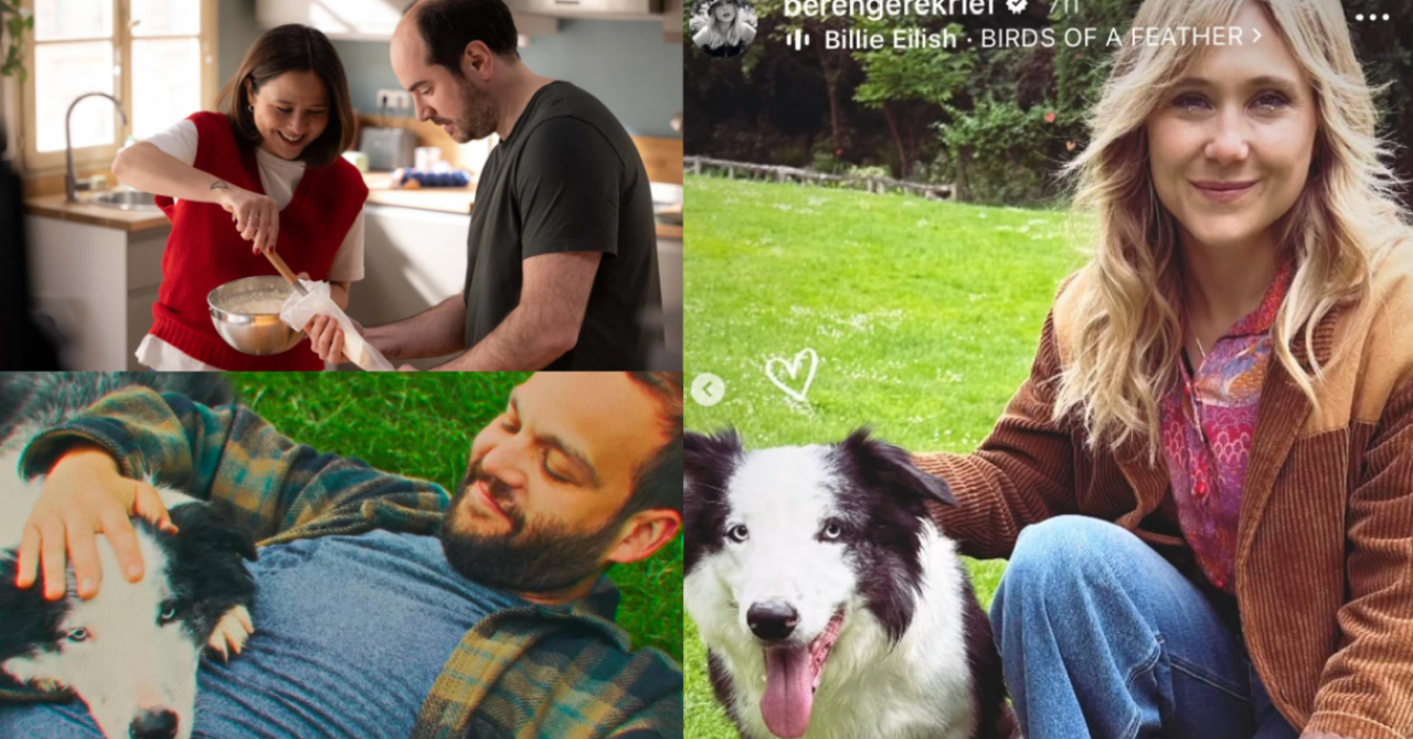 Anatomy of a fall to brief 2: "It's a star dog!"