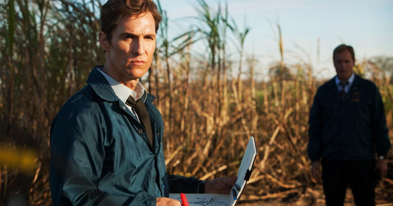 Matthew McConaughey finds the creator of True Detective for a new Netflix series