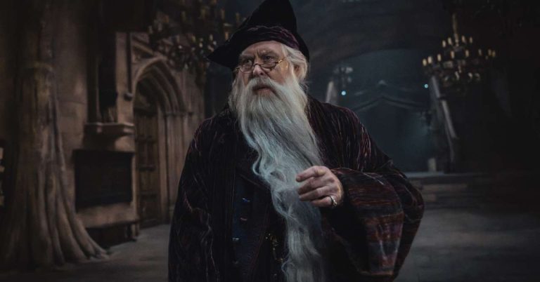 Dumbledore, Ron, Hermione, Snape… the characters of the new Harry Potter in pictures
