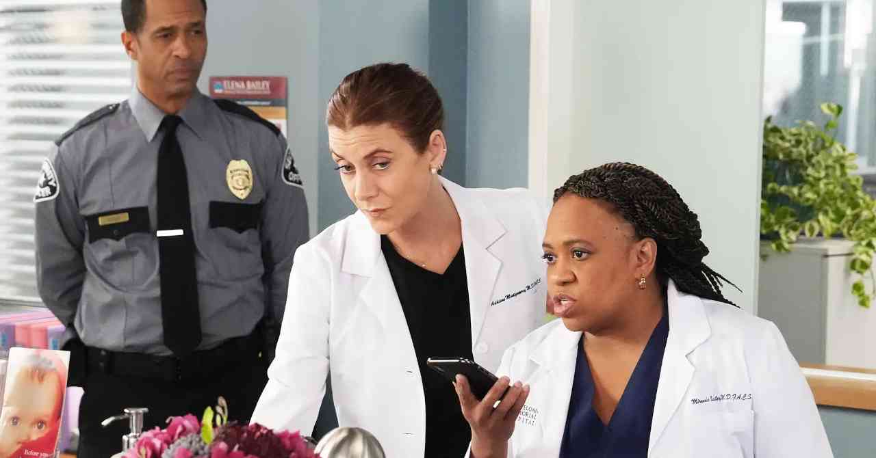 Grey's Anatomy continues! Season 23 officially ordered
