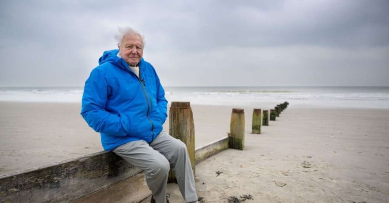 5 documentaries to watch on platforms to celebrate David Attenborough's 100th birthday
