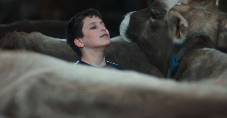 Cannes 2026: Gabin, a very beautiful Boyhood in Artois

