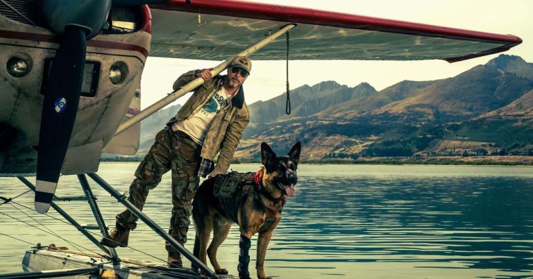Brad Pitt and his dog in the wilderness: first images
