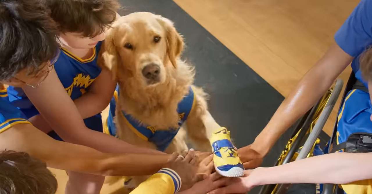 Air Bud returns to the floors: trailer for the new film