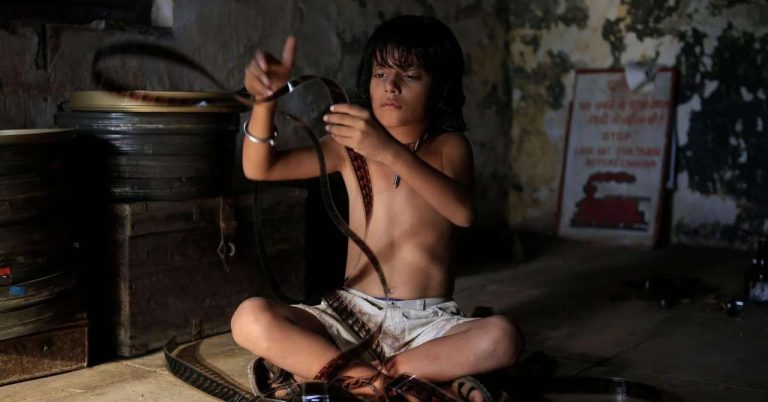 The Last Session: A wonderful declaration of love to cinema (review)
