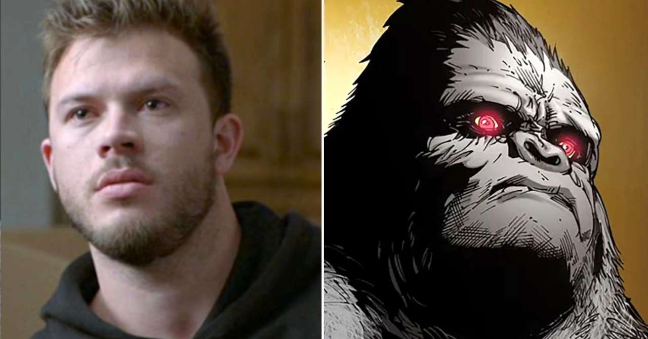 The series about Jimmy Olsen has found its Gorilla Grodd
