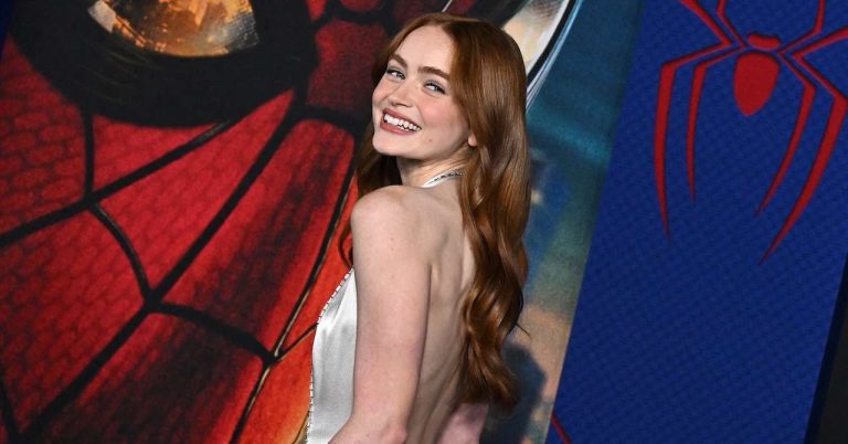 What does Sadie Sink's role in Spider-Man: Brand New Day mean?
