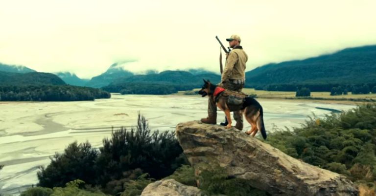 Brad Pitt's dog, star of the new Heart of the Beast trailer
