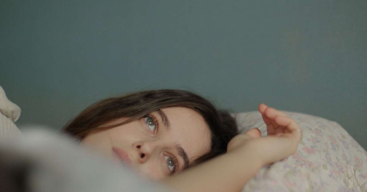 Daughter's Memory: a moving passing of the baton (review)